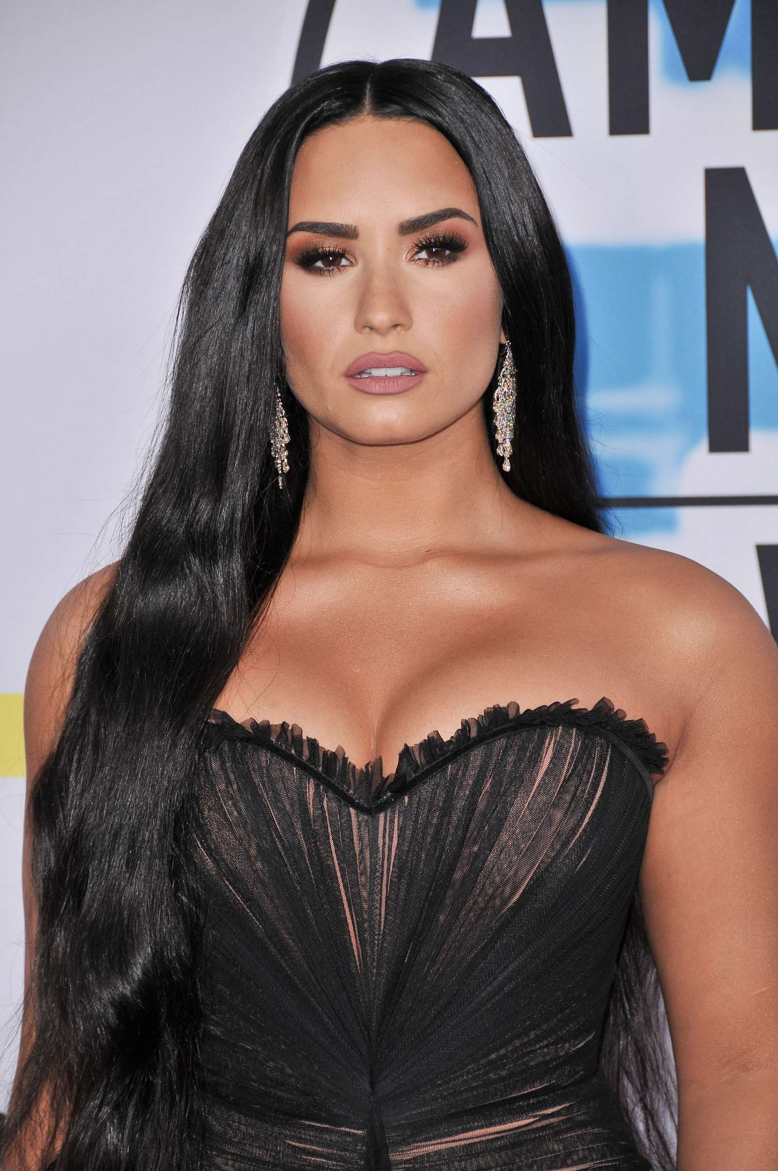 Demi_Lovato_-_2017_American_Music_Awards_-_November_19-03~0.jpg