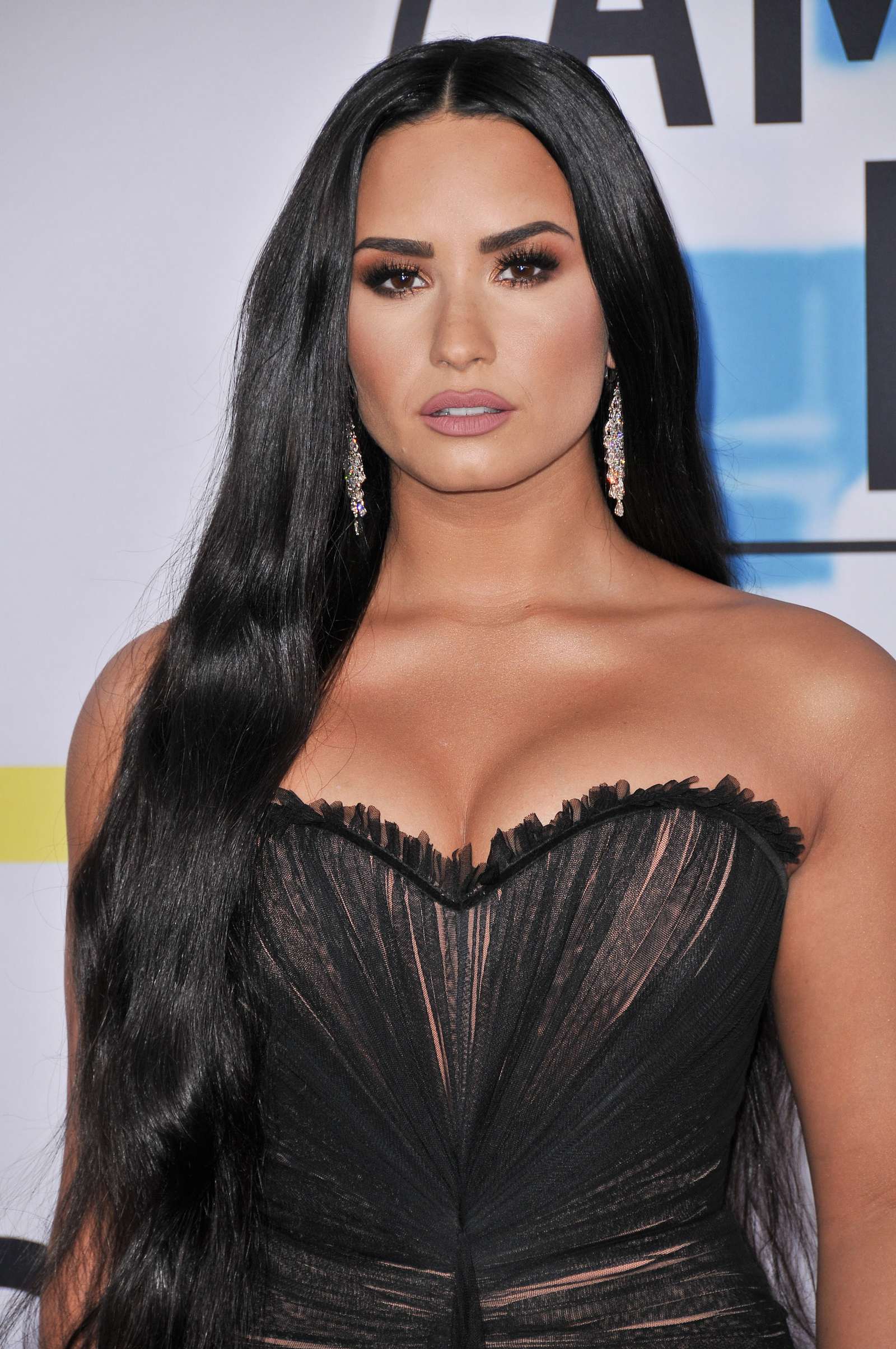 Demi_Lovato_-_2017_American_Music_Awards_-_November_19-05~0.jpg