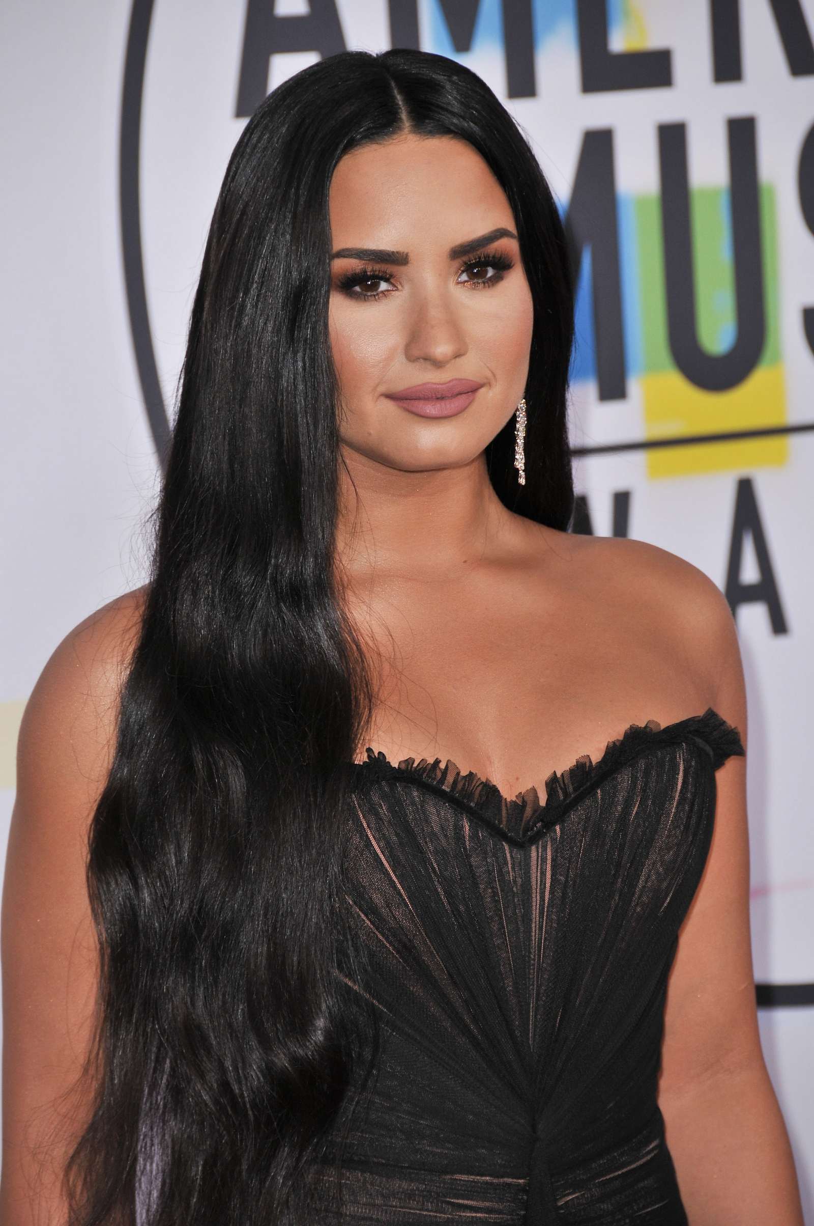 Demi_Lovato_-_2017_American_Music_Awards_-_November_19-21.jpg