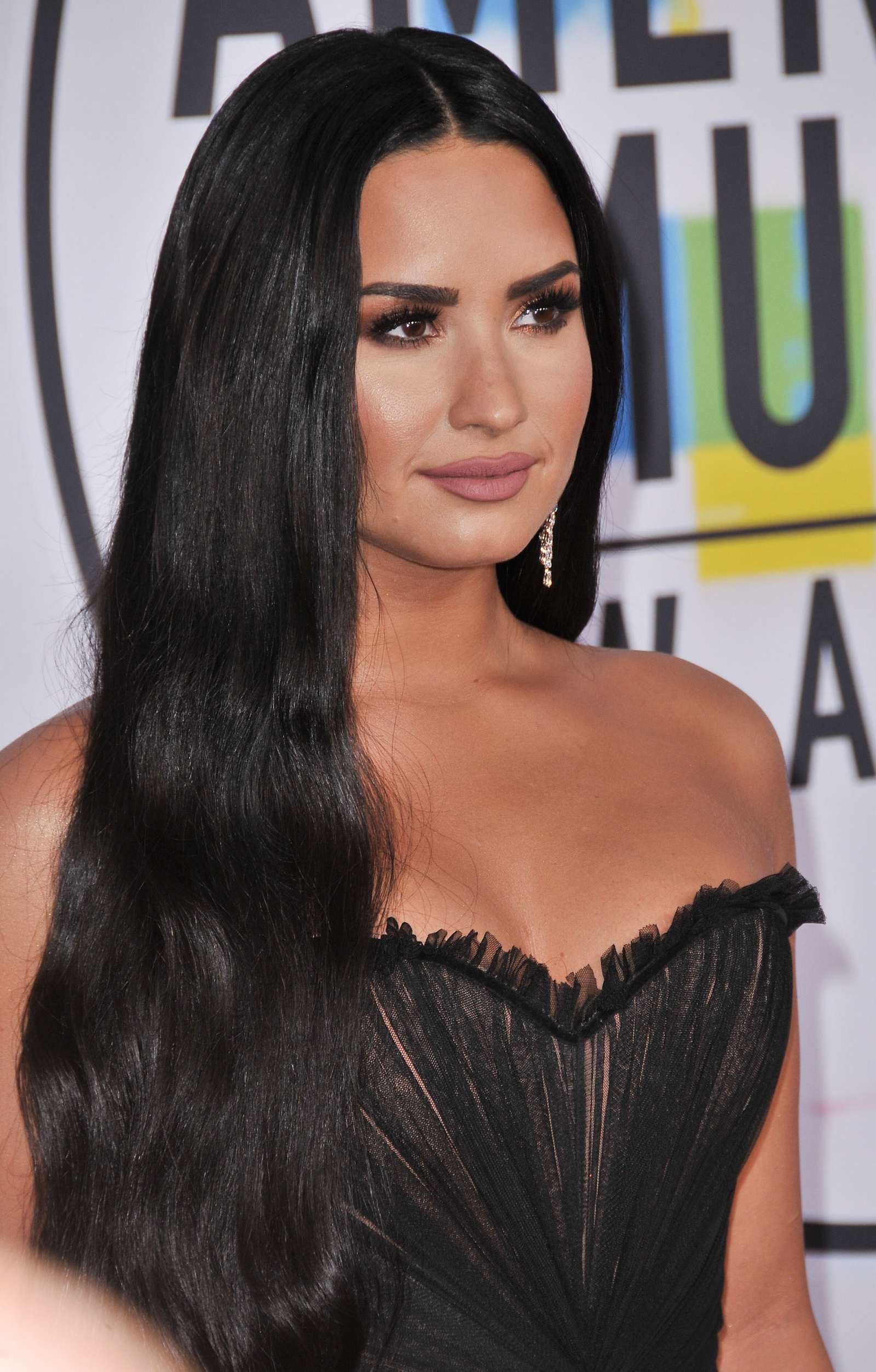 Demi_Lovato_-_2017_American_Music_Awards_-_November_19-22.jpg