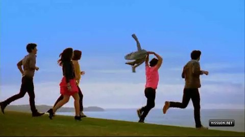 231.jpg 231.jpg