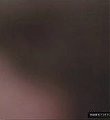 723.jpg