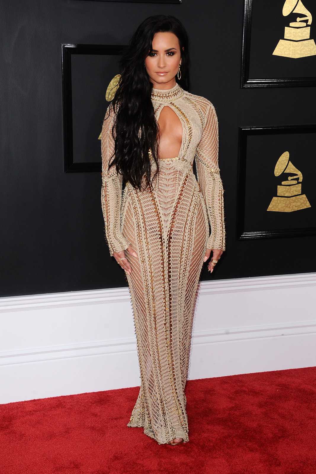 Demi_Lovato_-_The_59th_GRAMMY_Awards_at_STAPLES_Center_in_Los_Angeles-20.jpg